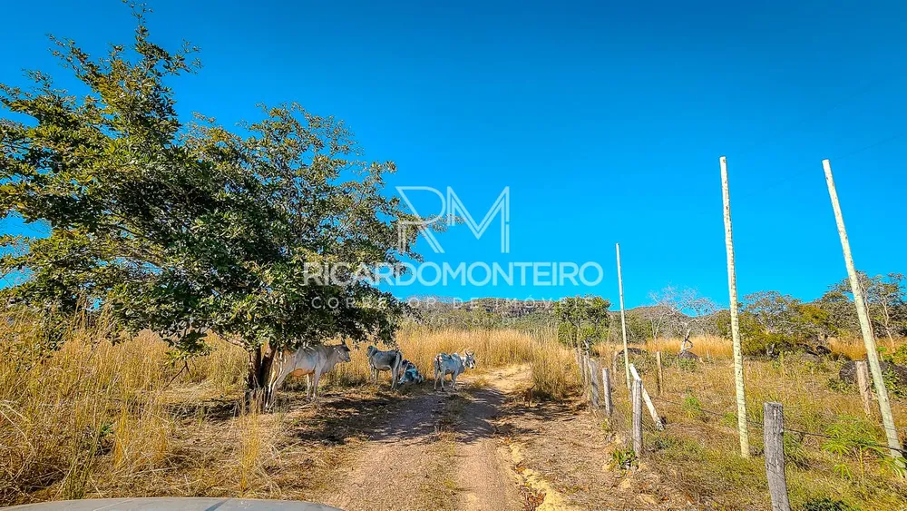 Fazenda, 440 hectares - Foto 10