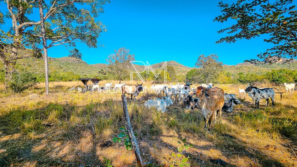 Fazenda à venda, 4400000m² - Foto 11