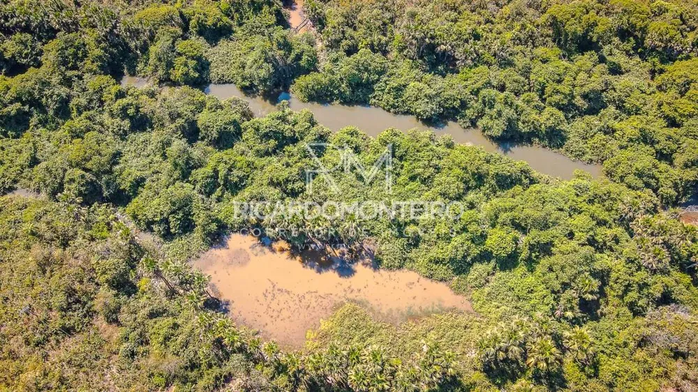 Fazenda, 440 hectares - Foto 33