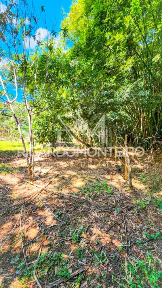 Chácara à venda com 3 quartos, 24200m² - Foto 8