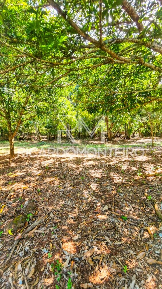 Chácara à venda com 3 quartos, 24200m² - Foto 4