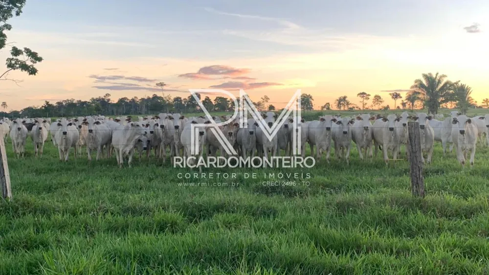 Fazenda, 1452 hectares - Foto 1