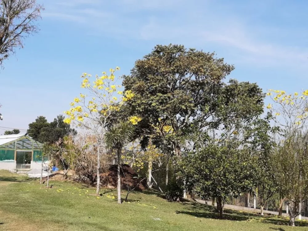 Fazenda à venda com 3 quartos, 10000m² - Foto 2