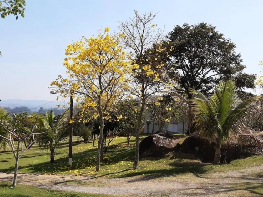 Fazenda à venda com 3 quartos, 10000m² - Foto 6