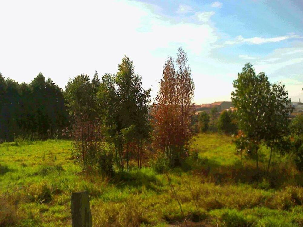 Terreno à venda, 24000m² - Foto 6