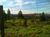 Terreno, 2 hectares - Foto 4