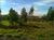 Terreno, 2 hectares - Foto 3
