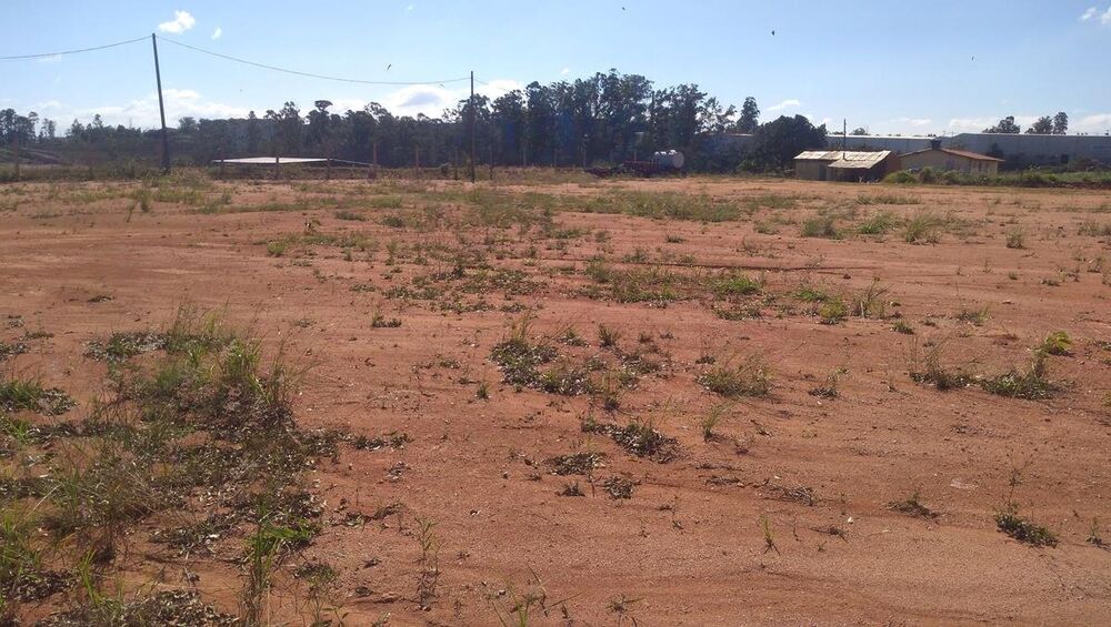 Terreno para alugar, 12414m² - Foto 7