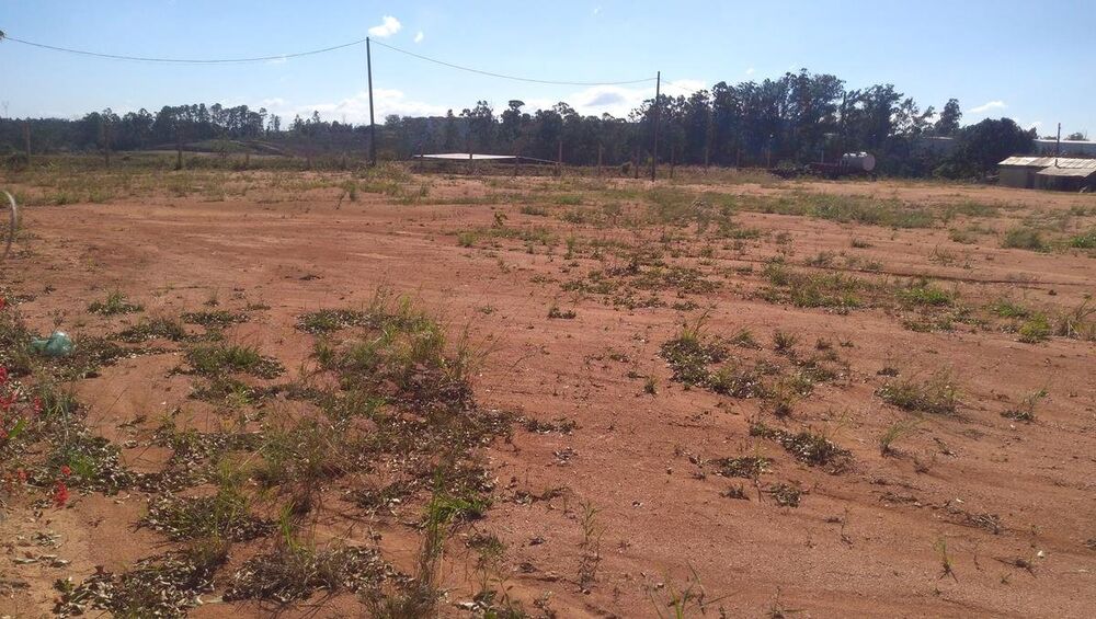 Terreno para alugar, 12414m² - Foto 5
