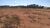 Terreno, 1 hectares - Foto 4
