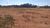 Terreno, 1 hectares - Foto 7