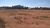 Terreno, 1 hectares - Foto 6