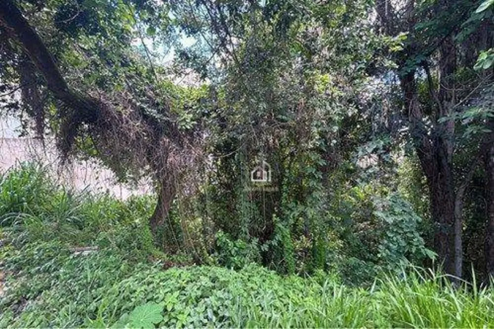 Terreno, 300 m² - Foto 3