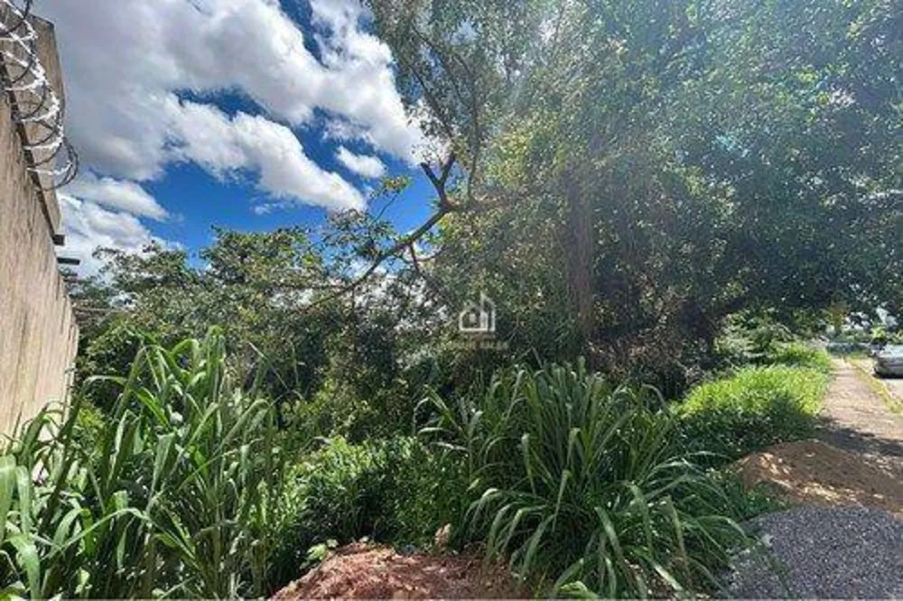 Terreno, 300 m² - Foto 4