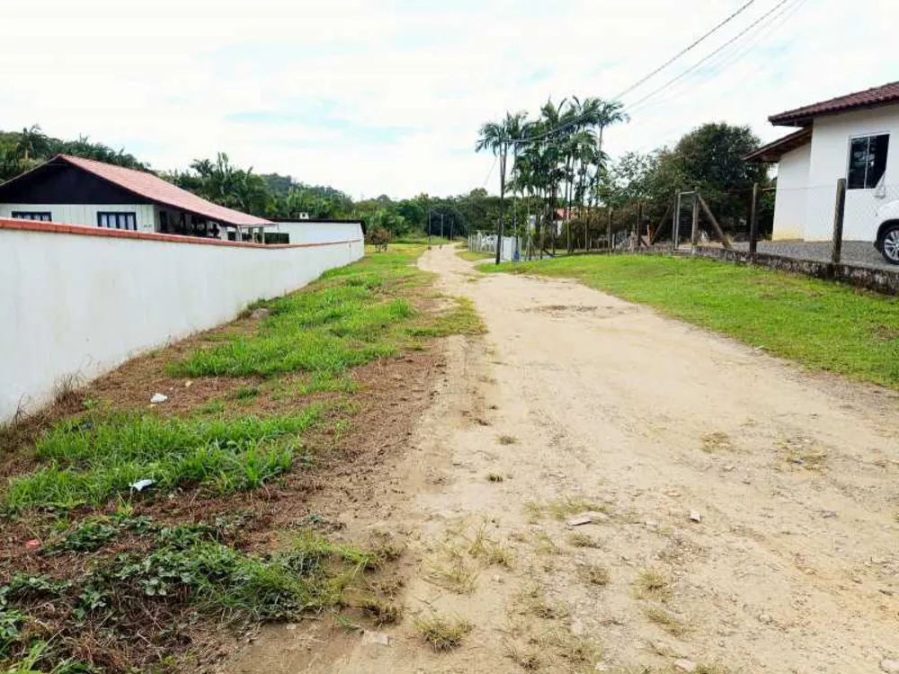 Terreno, 4 hectares - Foto 3