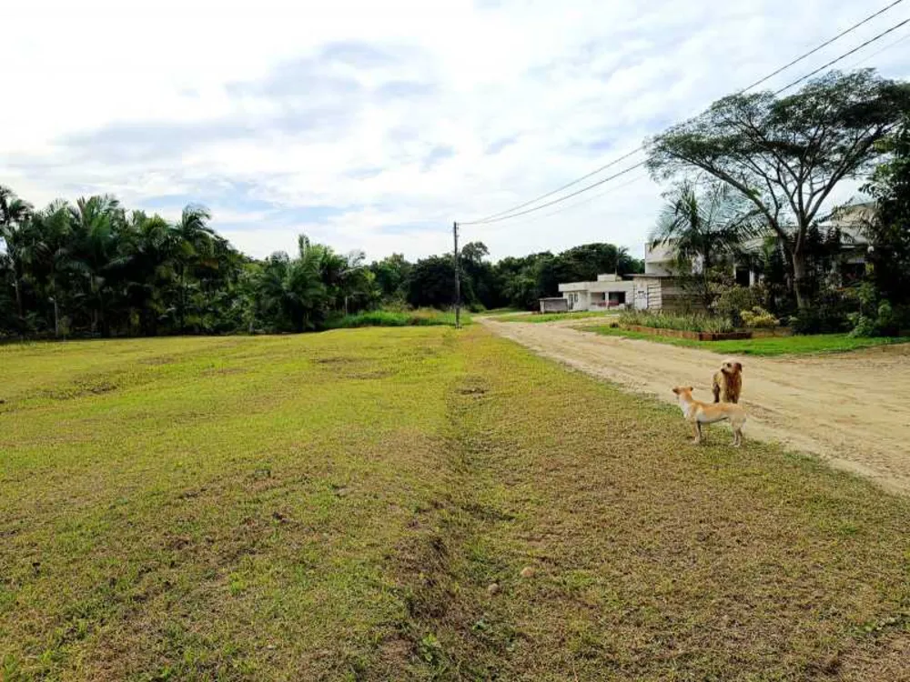Terreno, 3 hectares - Foto 4
