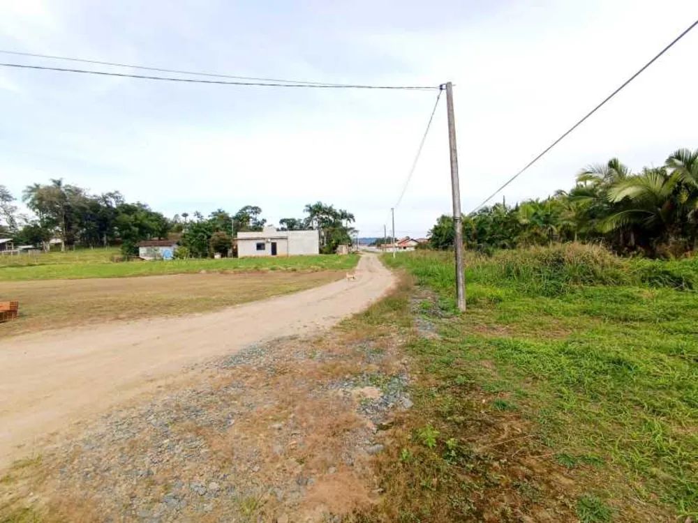 Terreno, 3 hectares - Foto 2