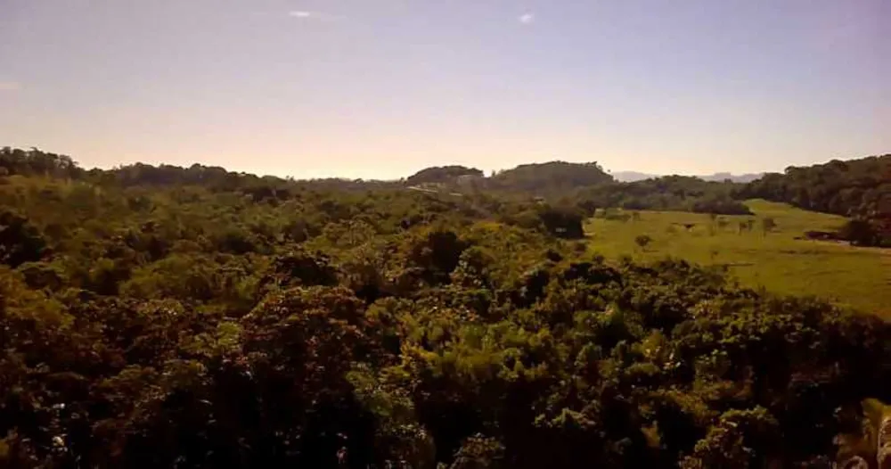 Terreno, 3 hectares - Foto 1