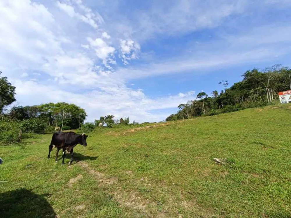 Fazenda, 29 hectares - Foto 7