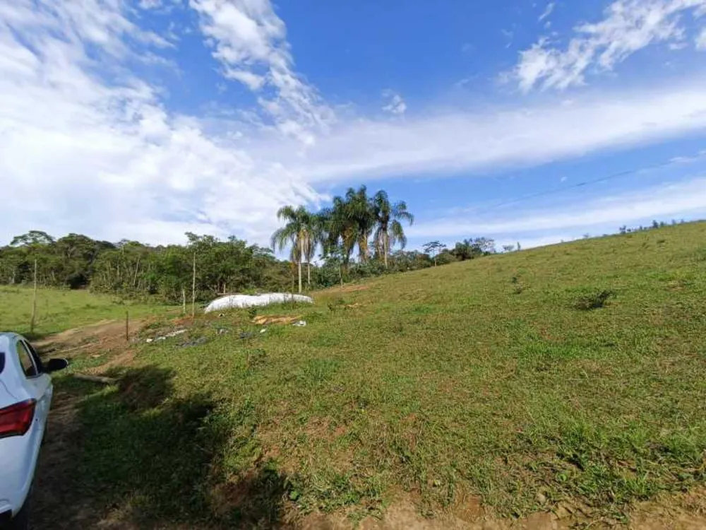 Fazenda, 29 hectares - Foto 3