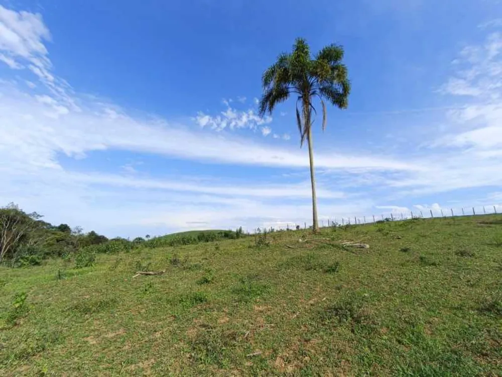 Fazenda, 29 hectares - Foto 2