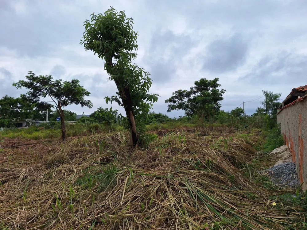 Terreno, 360 m² - Foto 6