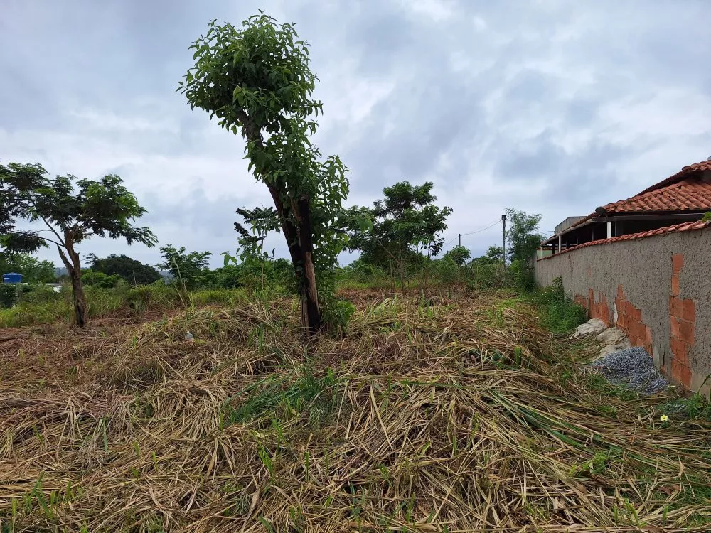 Terreno, 360 m² - Foto 5