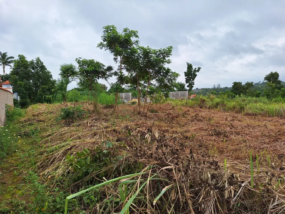 Terreno, 360 m² - Foto 7