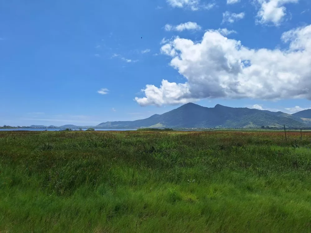 Terreno, 1080 m² - Foto 6