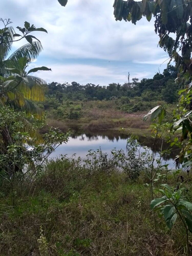 Terreno à venda - Foto 2