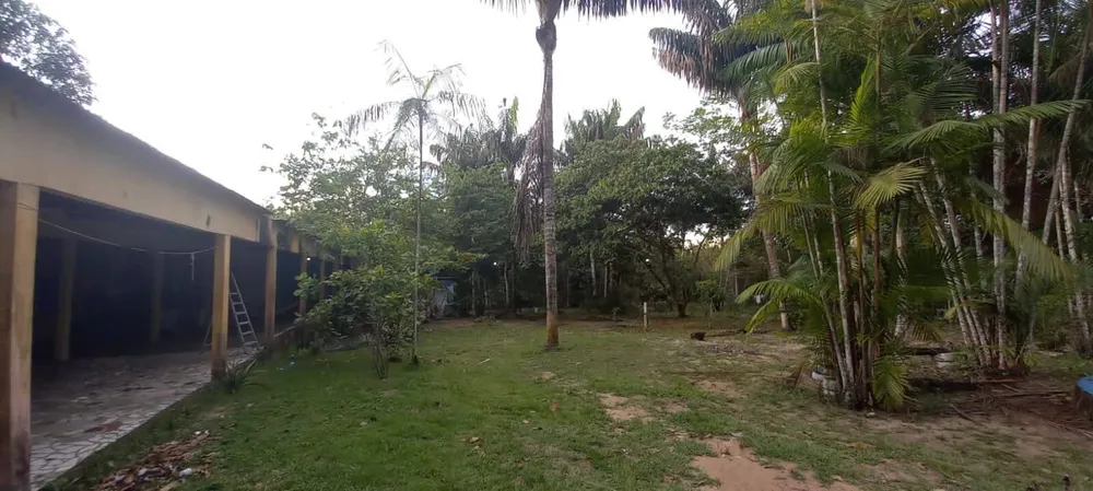 Terreno, 4 hectares - Foto 9
