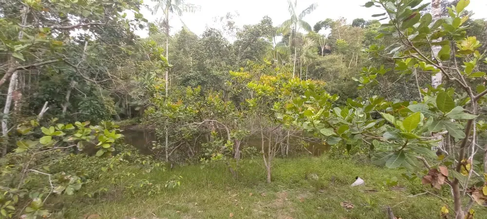 Terreno, 4 hectares - Foto 15