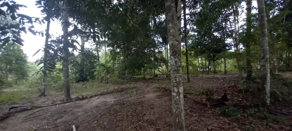 Terreno, 4 hectares - Foto 16