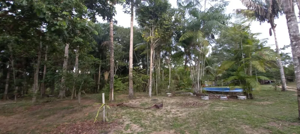 Terreno, 4 hectares - Foto 11