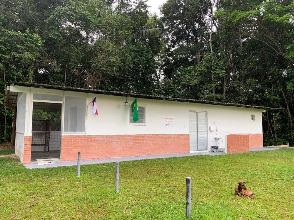 Terreno, 34 hectares - Foto 6