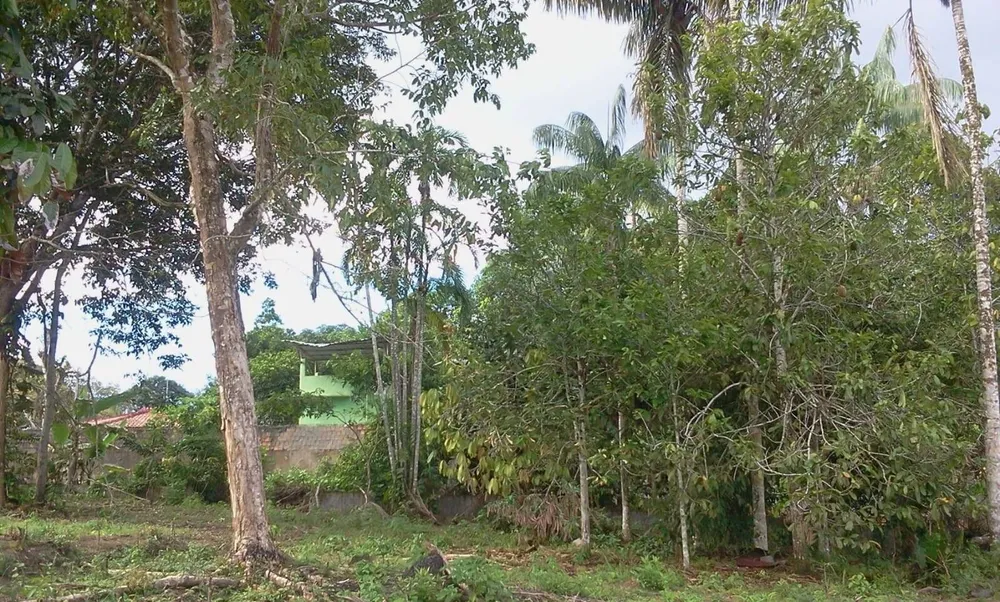 Terreno, 4800 m² - Foto 6