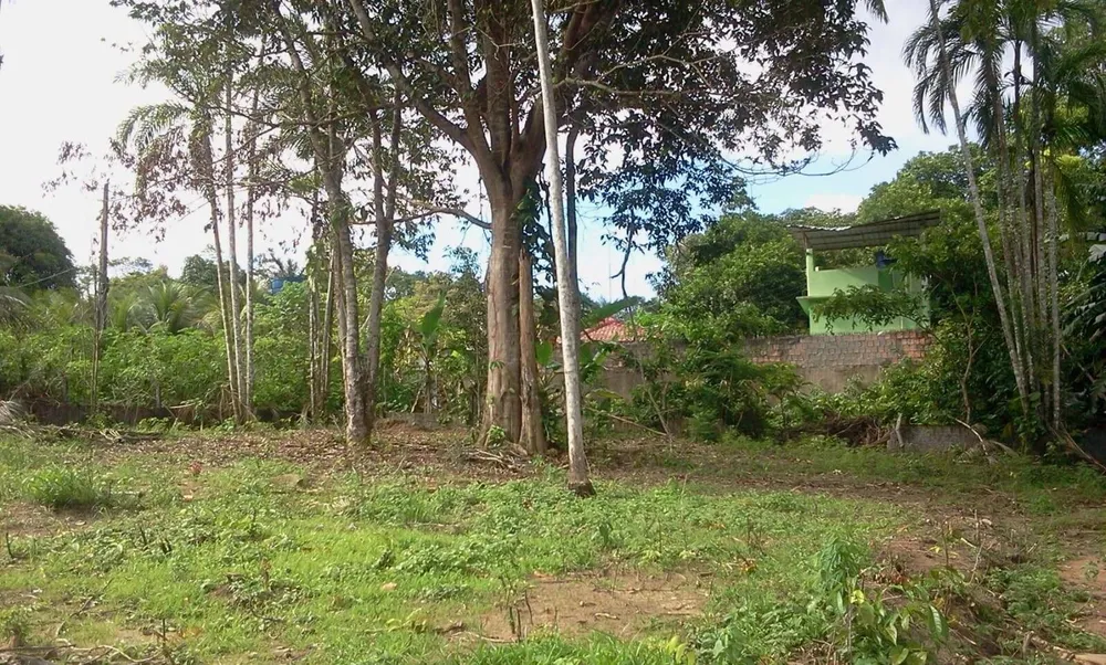 Terreno, 4800 m² - Foto 11