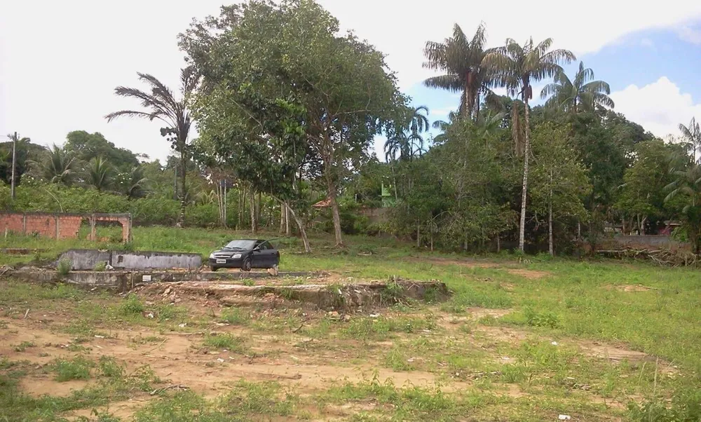 Terreno, 4800 m² - Foto 13