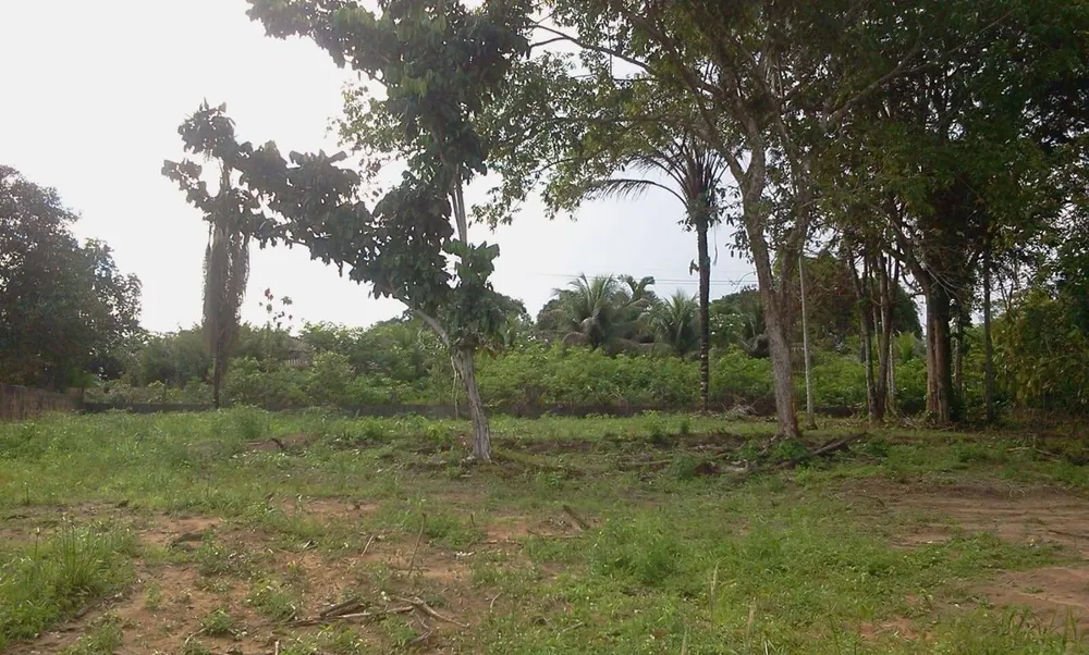 Terreno, 4800 m² - Foto 9