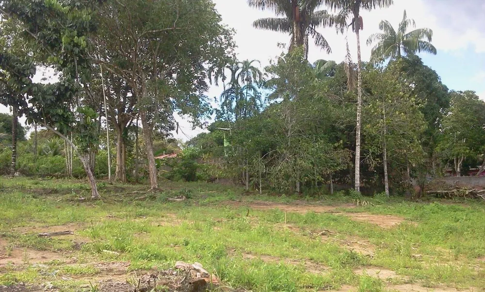 Terreno, 4800 m² - Foto 10