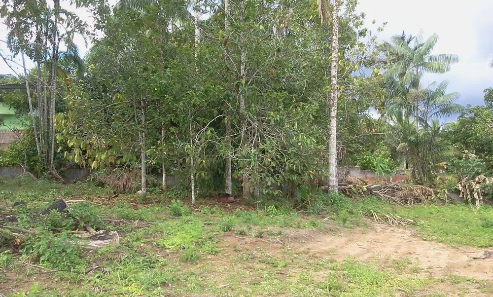 Terreno, 4800 m² - Foto 7
