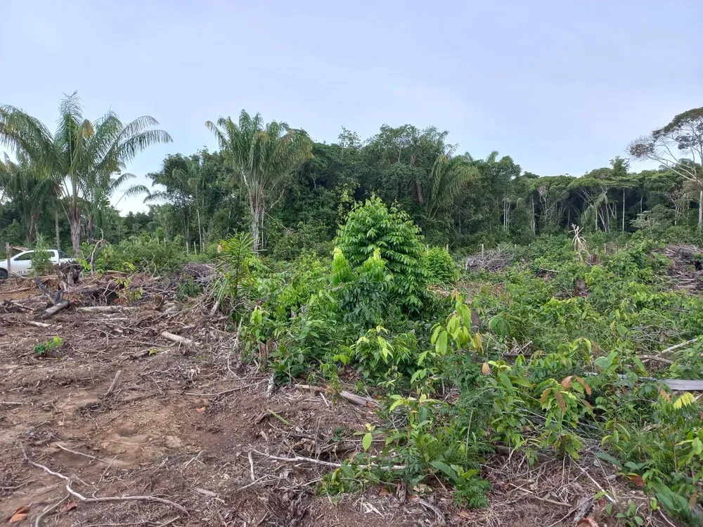 Terreno, 1000 m² - Foto 4