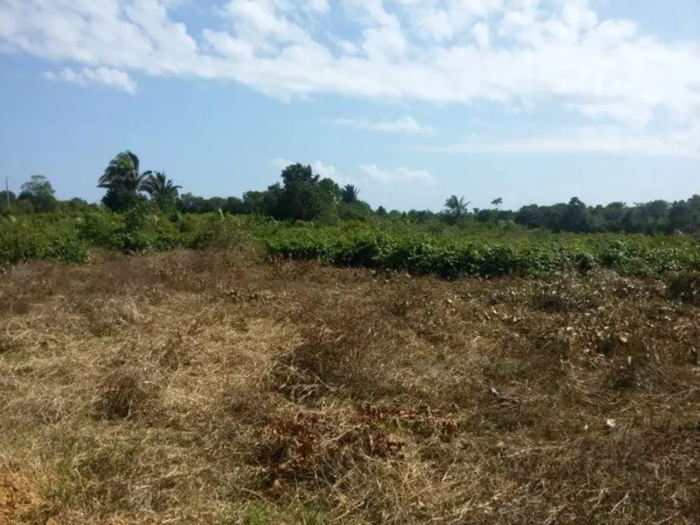Terreno, 5000 m² - Foto 2