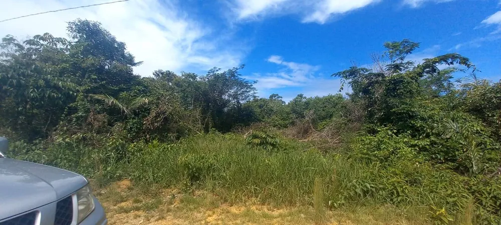 Terreno, 300 m² - Foto 7