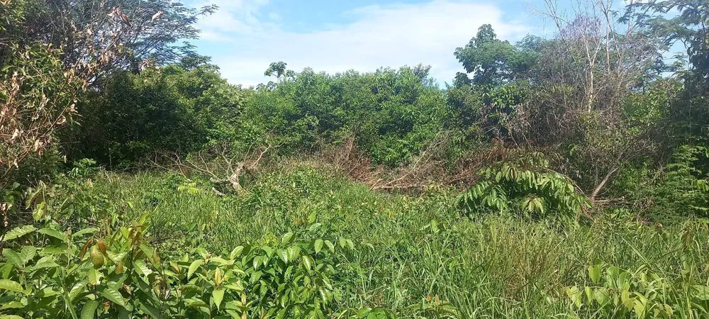Terreno, 300 m² - Foto 6