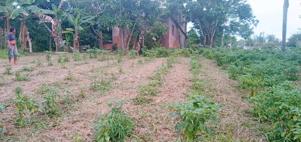 Terreno, 3920 m² - Foto 13