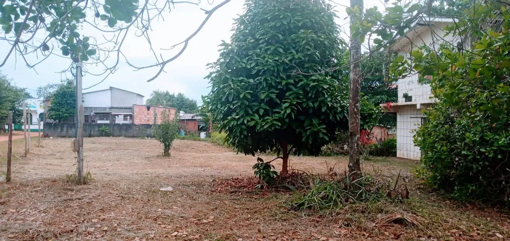 Terreno, 3920 m² - Foto 2