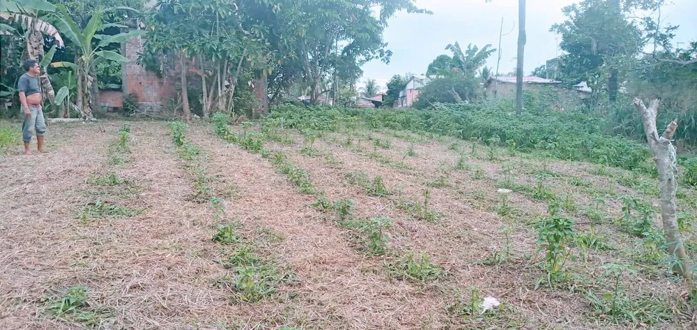 Terreno, 3920 m² - Foto 1