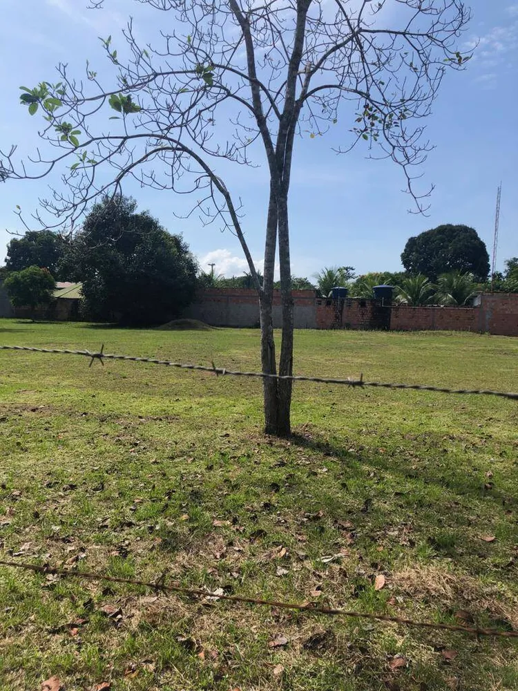 Terreno, 6000 m² - Foto 4