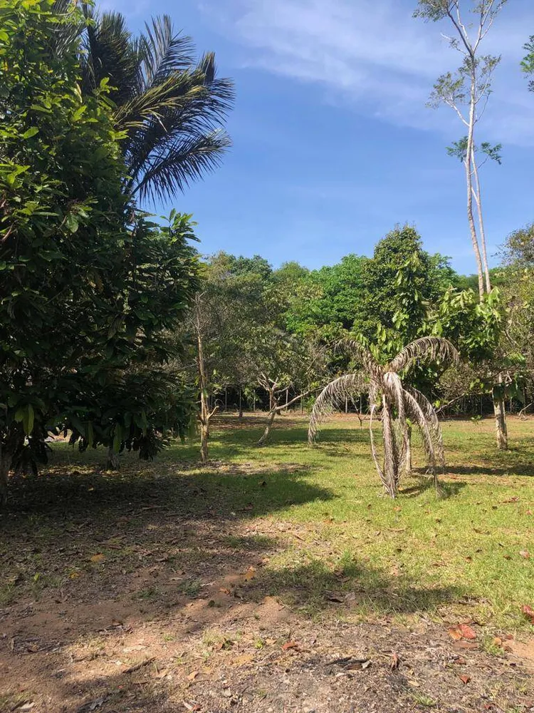 Terreno, 6000 m² - Foto 7